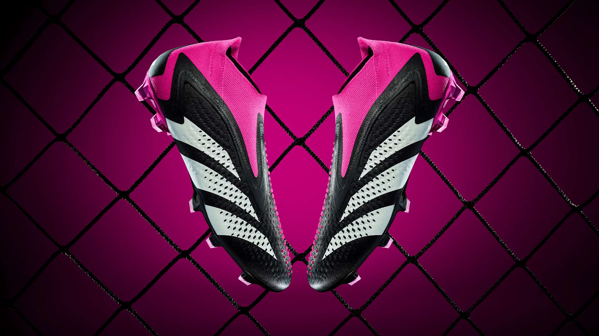 和在場上的 和在場上的